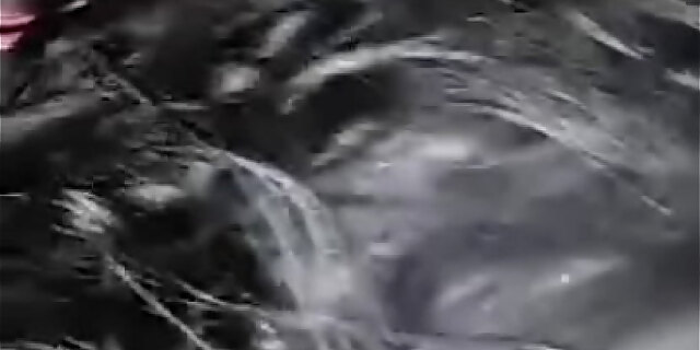 blowjob,femdom,pussy,sex